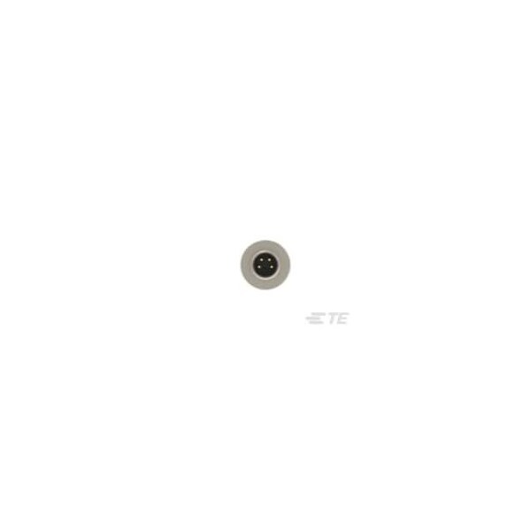 Te Connectivity M8 SCREW  MALE S UNSHIELD 4P GOLD - T4011008041-000