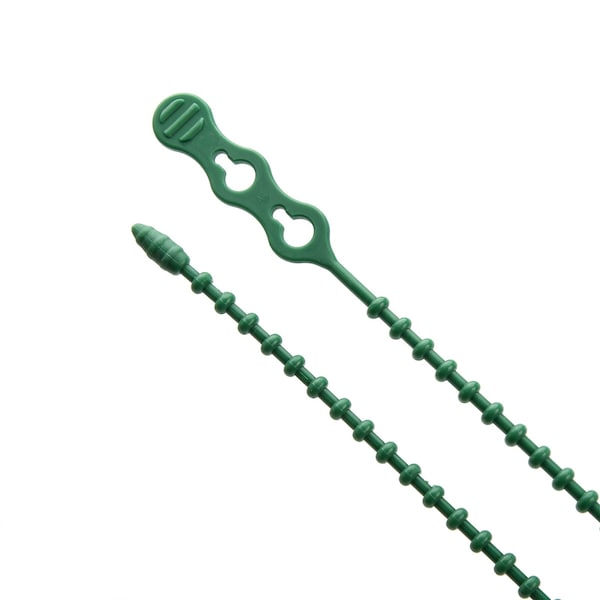 South Main Hardware 12-in  Double Loop Beaded 50-lb, Green, 15 Speciality Tie - 222077