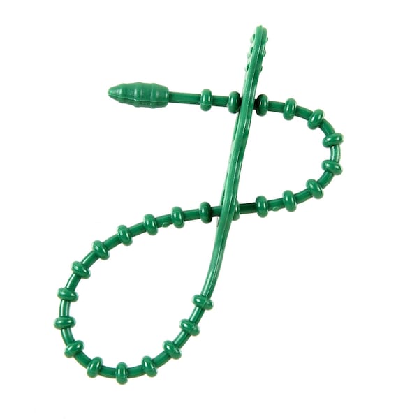 South Main Hardware 8-in  Double Loop Beaded 50-lb, Green, 15 Speciality Tie - 222074
