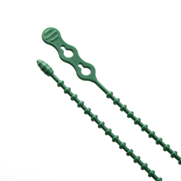 South Main Hardware 8-in  Double Loop Beaded 50-lb, Green, 15 Speciality Tie - 222074
