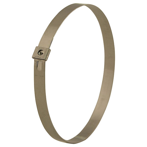 Band-It Band Ties, 3/8"W, Cable Tie, 6"Max OD, PK100 - AS6249