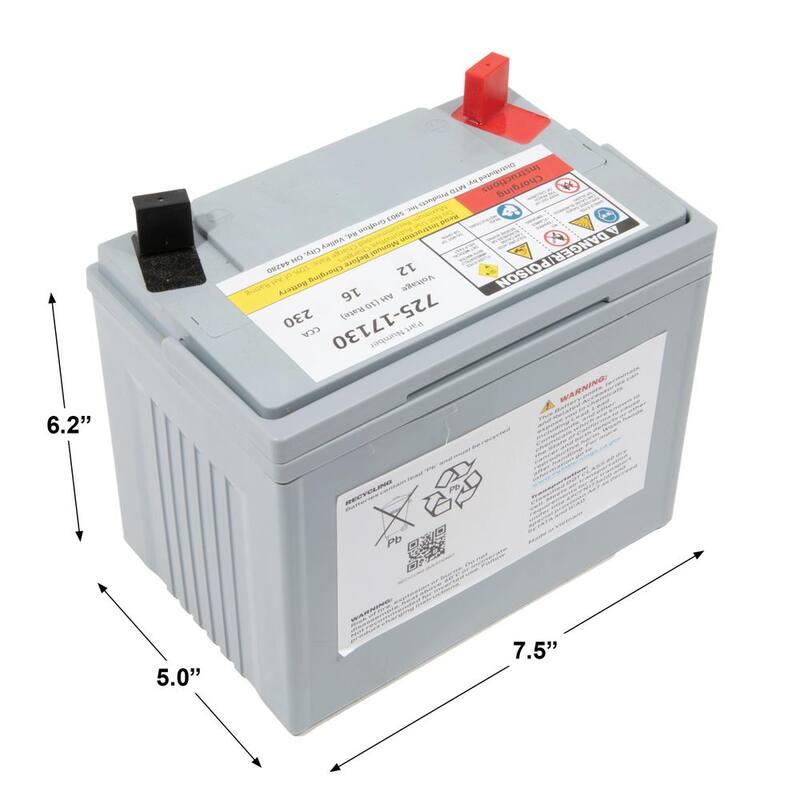 MTD Genuine Factory Parts Replacement 12-Volt 16 Ah 230 CCA Sealed AGM Riding Lawn Mower Battery - 725P17130