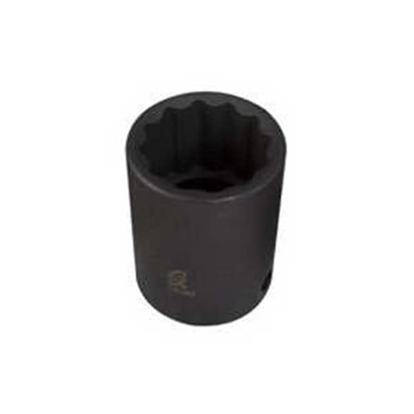 Gourmetgalley 312Mz 0.38 In. Dr 12Pt 1 2 Mm. Impact Socket - GO3591602