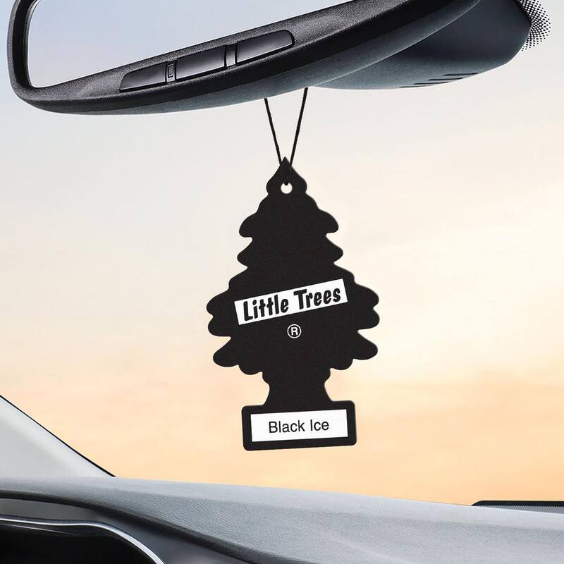 Little Trees Black Ice Solid Air Freshener (6-Pack) - U6P-60155