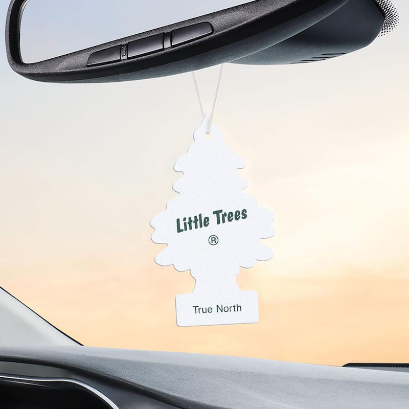 Little Trees True North Hanging Air Freshner (3-Pack) - U3S-37146