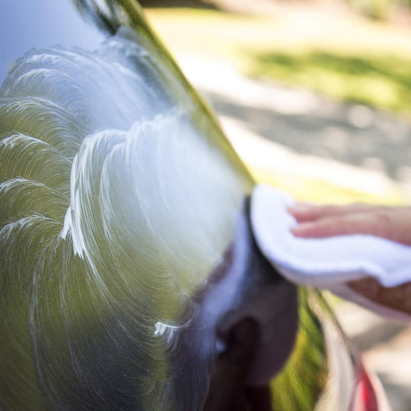 Zwipes Auto 5 in. Wax Applicator (8-Pack) - 894-4