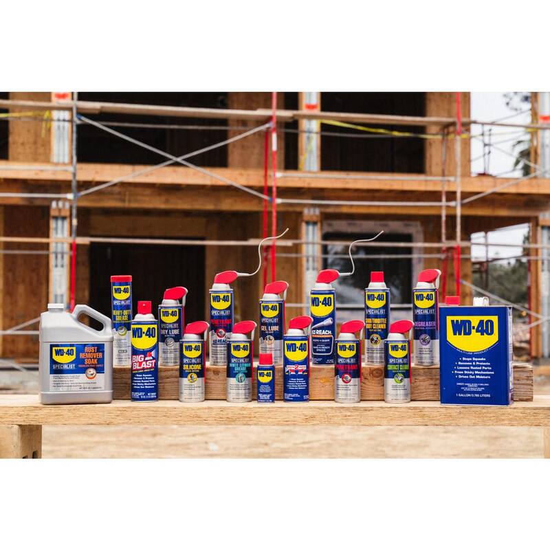 WD-40 SPECIALIST 10 oz. Dry Lube with PTFE, Lubricant with Smart Straw Spray - 300059