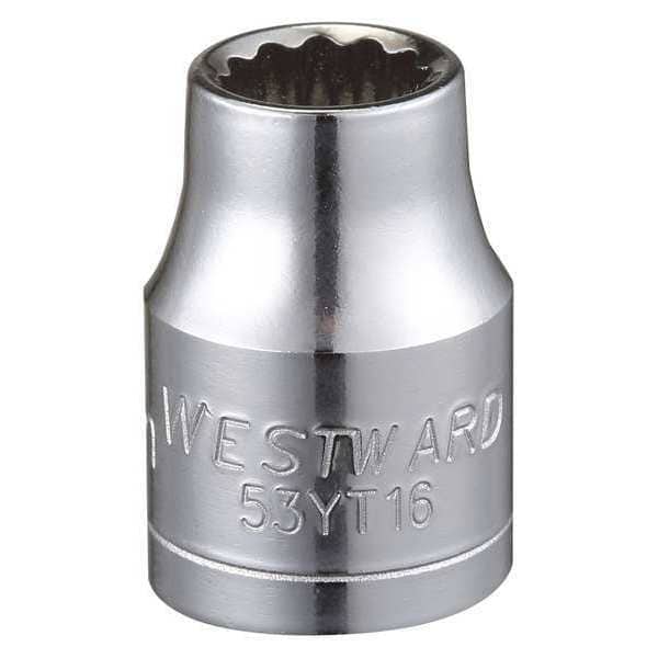 Westward 3/8 in Drive, 8mm Triple Square Metric Socket, 12 Points - 53YT16