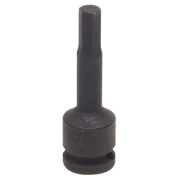 Westward Impact Socket Bit, 3/8 in Drive Size, 3/16 in Tip Size, 2 in Overall Length, SAE, Steel - 4LZA8