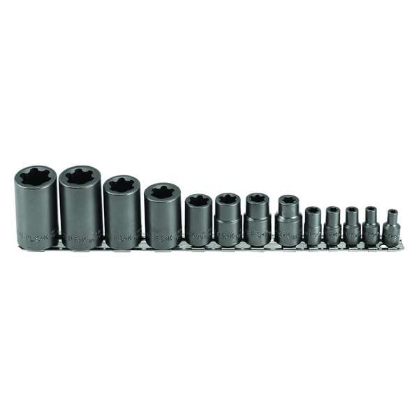 Sk Professional Tools 1/4 in, 3/8 in, 1/2 in Drive Socket Set SAE 13 Pieces E4 to E24 , Rust Preventative - 19861