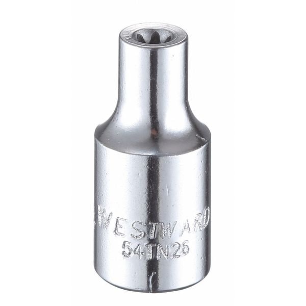 Westward 1/4 in Drive Torx(R) Socket SAE E-4 Tip, 1 7/8 in L - 54TN26