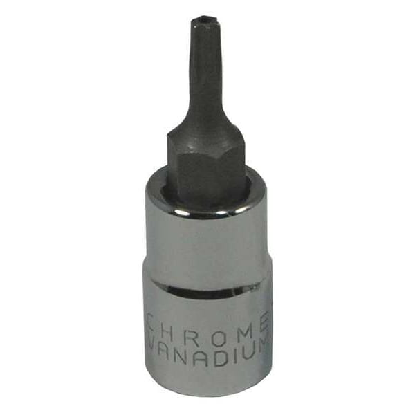 Westward 1/4 in Drive Tamper Resistant Torx(R) Socket Bit SAE T8 Tip, 1 3/8 in L - 20XA01