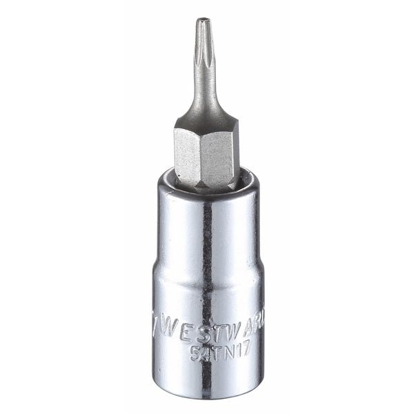 Westward 1/4 in Drive Tamper Resistant Torx(R) Socket Bit SAE T7 Tip, 1 1/2 in L - 54TN17