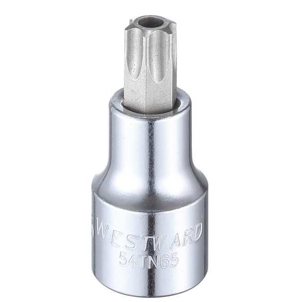 Westward 1/2 in Drive Tamper Resistant Torx(R) Socket Bit SAE T55 Tip, 2 1/2 in L - 54TN65
