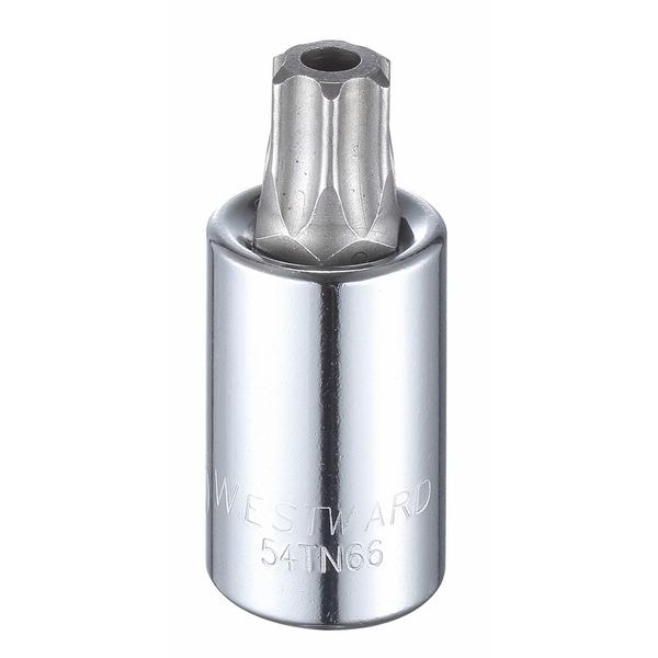 Westward 1/2 in Drive Tamper Resistant Torx(R) Socket Bit SAE T60 Tip, 2 1/2 in L - 54TN66