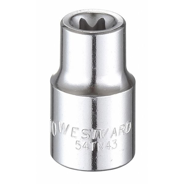 Westward 3/8 in Drive Torx(R) Socket SAE E-10 Tip, 1 1/4 in L - 54TN43