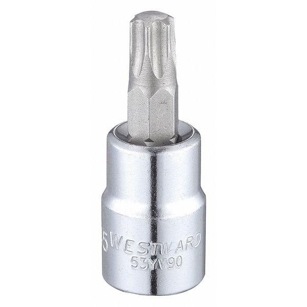 Westward 3/8 in Drive Torx(R) Socket Bit Torx(R) T45 Tip, 1 15/16 in L - 53YV90