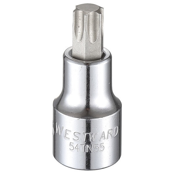 Westward 1/2 in Drive Torx(R) Socket Bit SAE T55 Tip, 2 1/2 in L - 54TN55