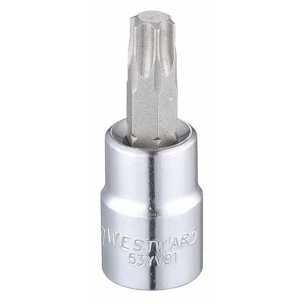 Westward 3/8 in Drive Torx(R) Socket Bit Torx(R) T47 Tip, 1 15/16 in L - 53YV91