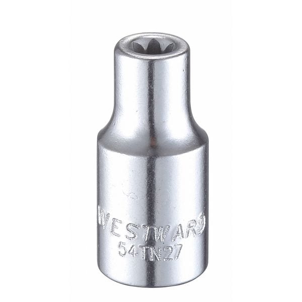Westward 1/4 in Drive Torx(R) Socket SAE E-5 Tip, 1 15/16 in L - 54TN27