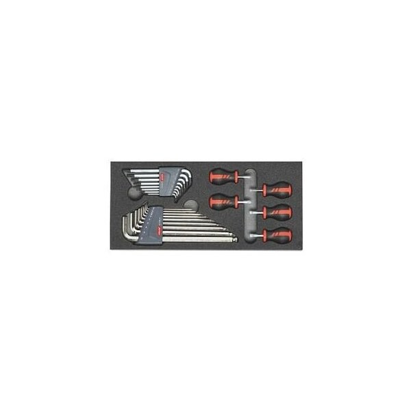 Holex Set of 22 L-keys and Stubby Screwdrivers in Foam - 955215 22