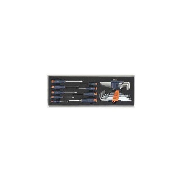 Garant Set of 31 L-keys and Screwdrivers in Foam - 953202 31