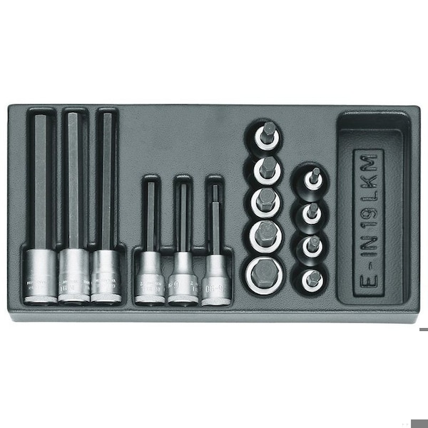 Gedore Screwdriver Bit Socket Set, 1/2", Point Size: 5mm, 6mm, 7mm, 8mm, 9mm, 10mm, 12mm, 14mm, 17mm - 1500 ES-IN 19 LKM