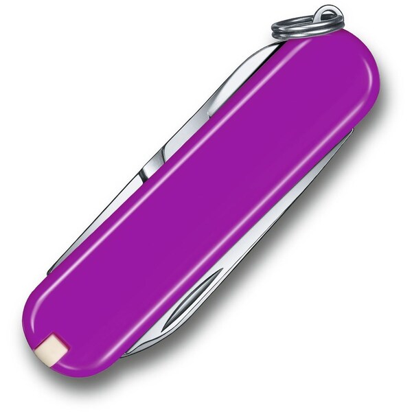 Swiss Army Brands 2024 Victorinox Classic Sd  Tasty Grape Purple, Blister - VIC-0.6223.52-X1