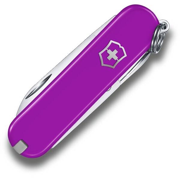 Swiss Army Brands 2024 Victorinox Classic Sd  Tasty Grape Purple, Blister - VIC-0.6223.52-X1
