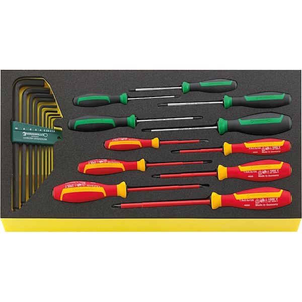 Stahlwille Tools DRALL+ set of screwdrivers i.TCS inlay No.TCS WT 4650-4665-1 -tray20-pcs. - 96830129