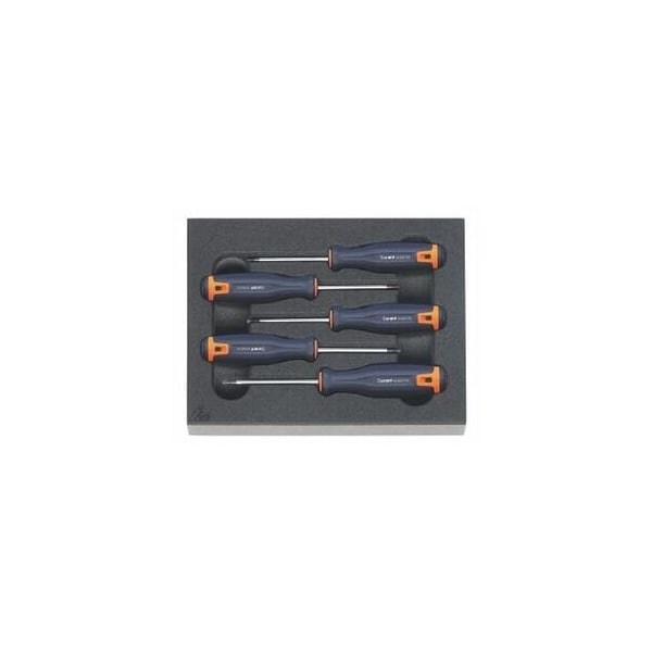 Garant 5 Pc Torx Screwdriver Set in Foam, TX6 to TX10 - 953063 5