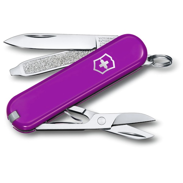 Swiss Army Brands 2024 Victorinox Classic Sd, Tasty Grape - VIC-0.6223.52G