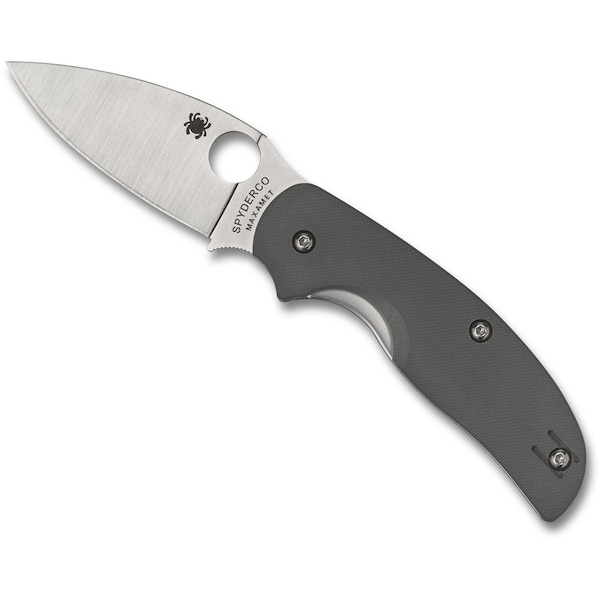 Spyderco 2023 Spyderco Reveal 6 Sage 1 G-10 Gray Maxamet Steel Plain Edge - SPY-C123GPGY