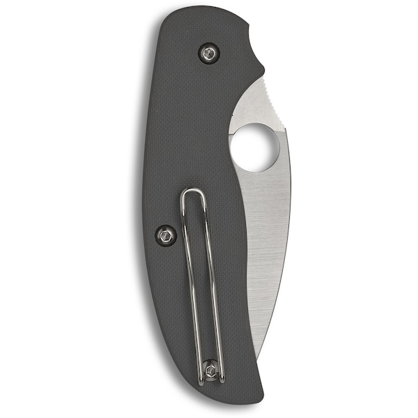 Spyderco 2023 Spyderco Reveal 6 Sage 1 G-10 Gray Maxamet Steel Plain Edge - SPY-C123GPGY