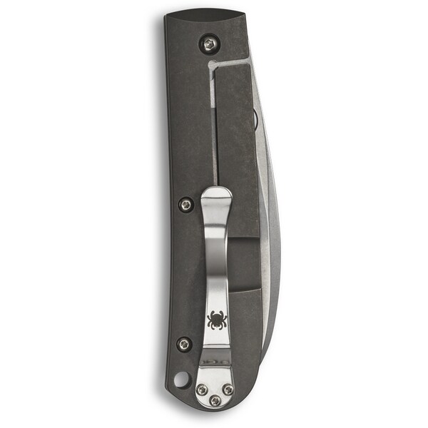 Spyderco 2023 Spyderco, Reveal V5, Swayback, Titanium Handles - SPY-C249TIP
