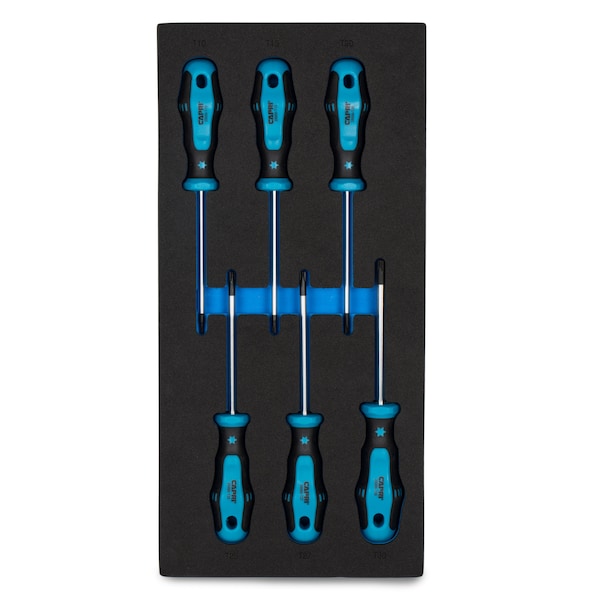 Capri Tools Kontour Star Screwdriver Set with the Mechanic's Tray, 6 pcs - 25000-TSS64MT