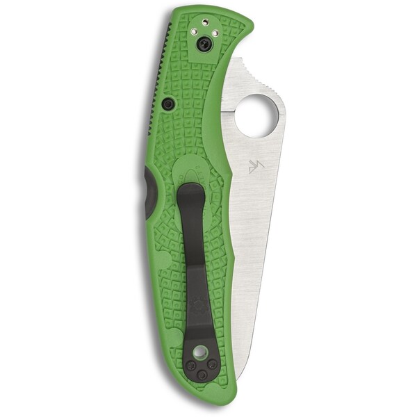 Spyderco 2024 Spyderco Reveal 6 Green Pacific Salt 2 Lc200N Steel Plain Edge - SPY-C91FPGR2