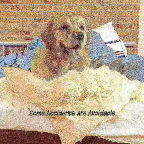 Pet Adobe Pet Adobe Freestanding Scallop Top Pet Gate (Brown) - 983063GWE