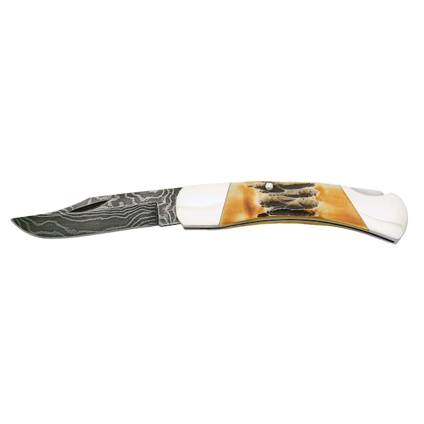 Bear & Sons Cutlery 2023 Bear 3 3/4' Genuine India Stag Bone Midsize Lockback Damascus - BEA-505D