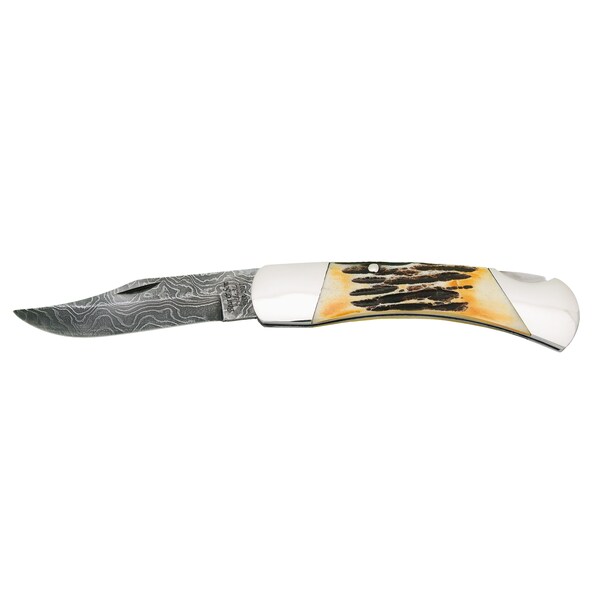 Bear & Sons Cutlery 2023 Bear 5' Genuine India Stag Bone Professional Lockback W/Lthr Sh Damascus - BEA-597D