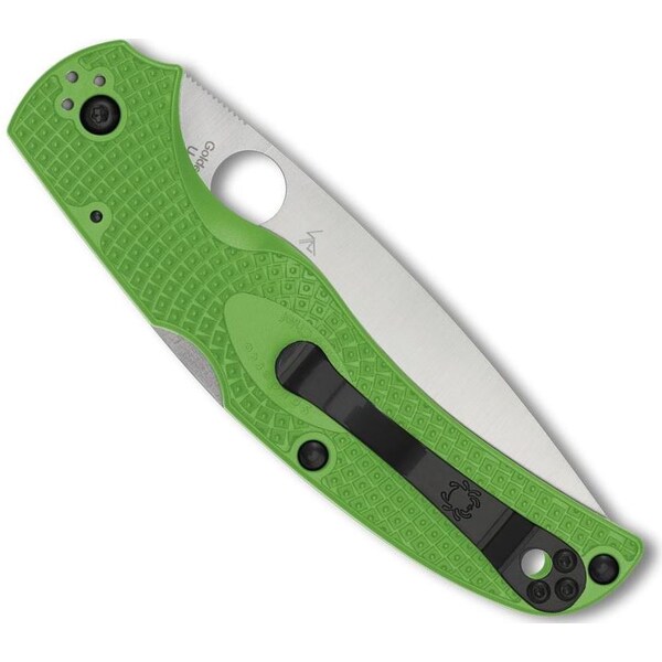 Spyderco 2024 Spyderco Reveal 14, Native Chief Salt Green Lightweight Lc200N, Plain Edge - SPY-C244PGR
