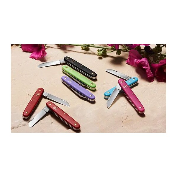 Swiss Army Brands 2024 Victorinox Floral Knife, Straight 4In Blade, Pastel Light Blue Handle - VIC-3.9050.25