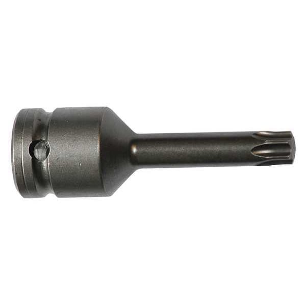 Apex Tool Group Socket Bit, 3/8 in. Dr, T40 Torx(R), PK5 - 834-TX40-2.95-5PK
