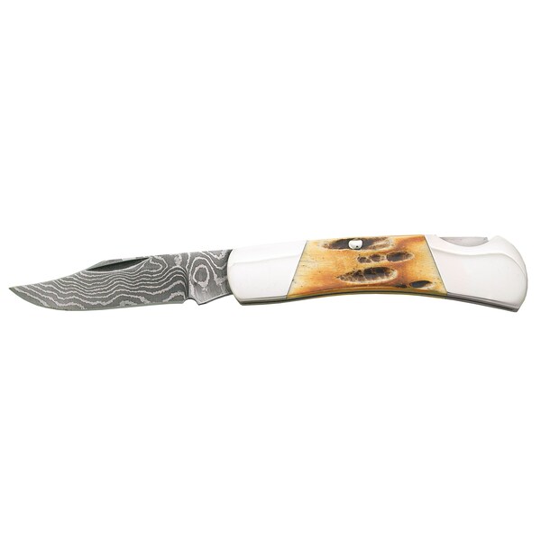 Bear & Sons Cutlery 2023 Bear 3' Genuine India Stag Bone Executive Lkbk Upswept Damascus - BEA-526D