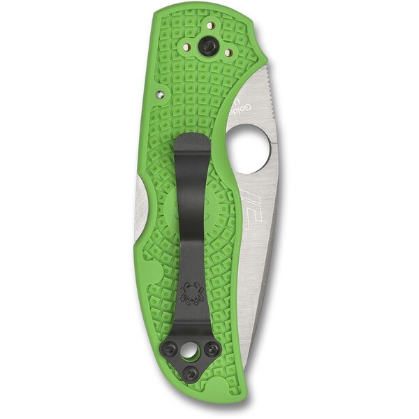 Spyderco 2024 Spyderco Reveal 10, Native 5 Salt Green Lc200N Steel, Serrated Edge - SPY-C41SGR5