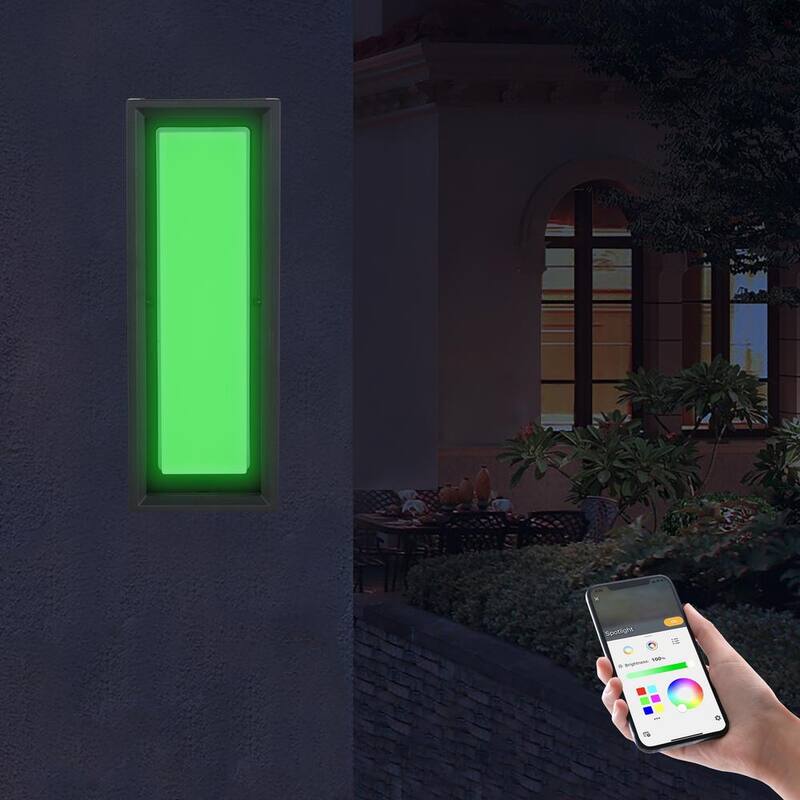 Colección de decoración para el hogar Rockwood de 14.93 pulgadas en negro, moderna luz de pared exterior con cambio de color LED integrado (1 paquete) alimentada por Hubspace - G19226