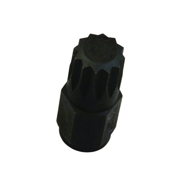 Assenmacher Specialty Tools BIT 14mm 12 PT - AH6300 X-14