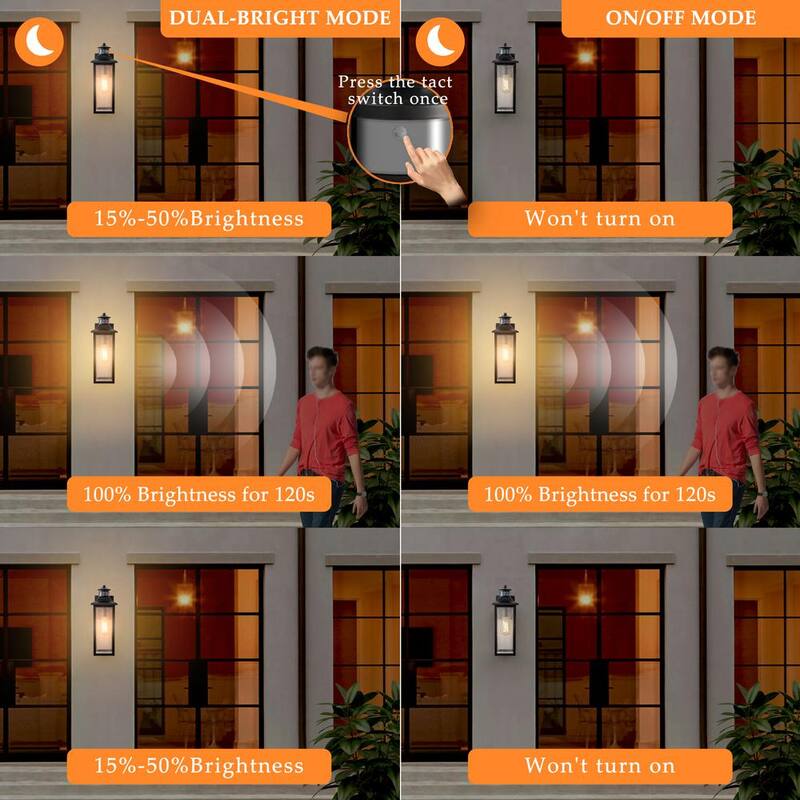 C Cattleya Linterna de Pared con Sensor de Movimiento al Amanecer y Anochecer para Exteriores, Conectada con Cable Duro, con Pantalla de Vidrio Sembrado y Sin Focos Incluidos - HCA2344-W