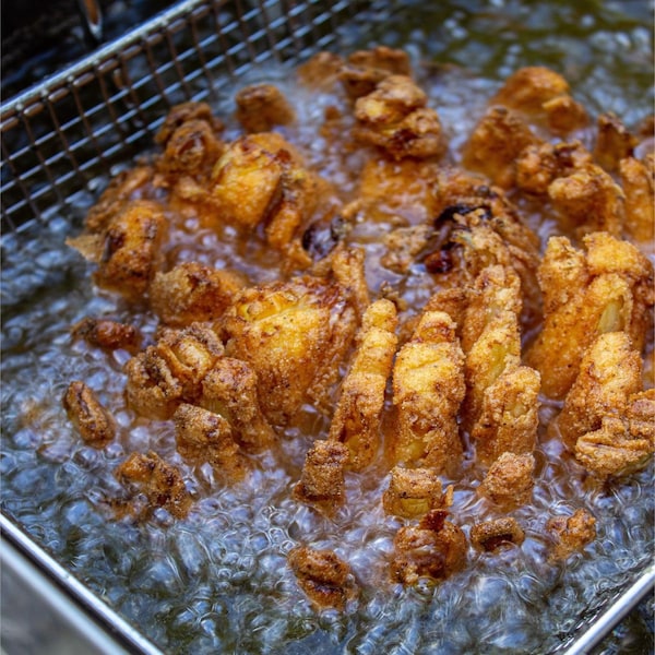 Bayou Classic BAYOU FRYER 2.5 GAL - 700-725