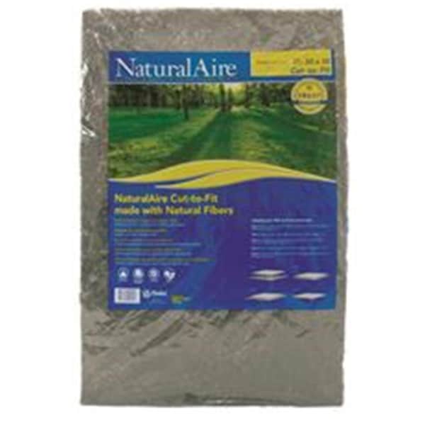 Protectionpro 20 x 25 x 1 in. Merv 4 Smilie Synthetic Air Filter - PR3548905